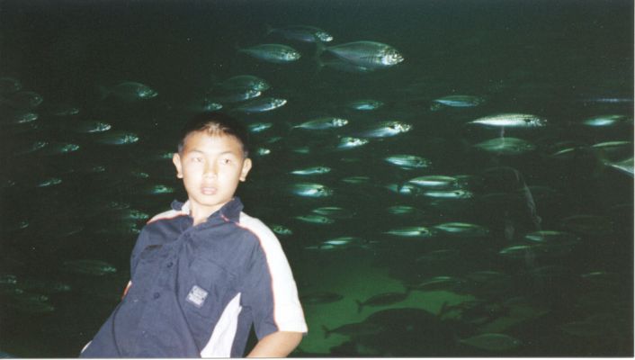 June 2002. In an aquarium in Denmark
